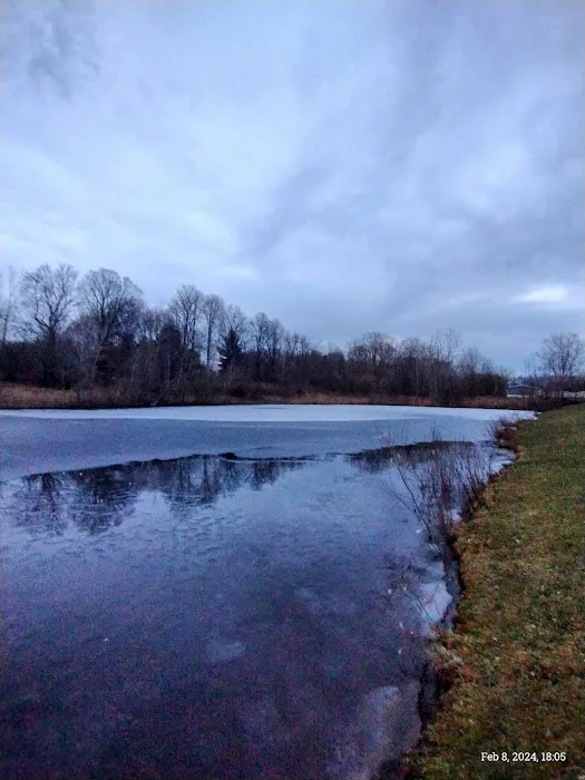 Pineview estates Picture 7