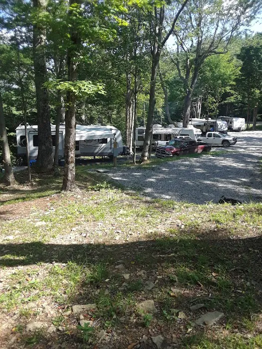 Back Ridge Shadows, LLC Picture 7