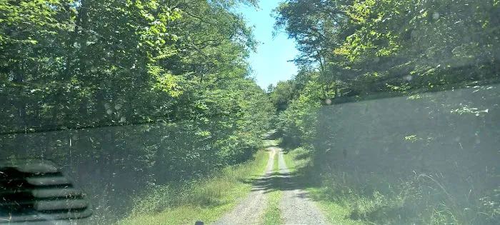 Gatewood Group Campground Picture 9
