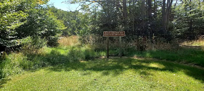 Gatewood Group Campground Picture 7