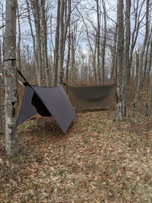 Gatewood Group Campground Picture 1