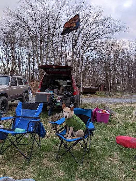 Gatewood Group Campground Picture 2