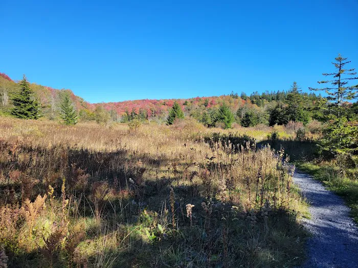 Spruce Knob Lake Campground Picture 6