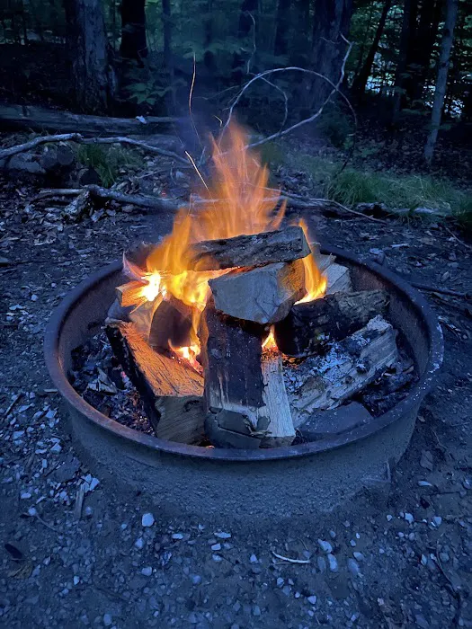 Spruce Knob Lake Campground Picture 1