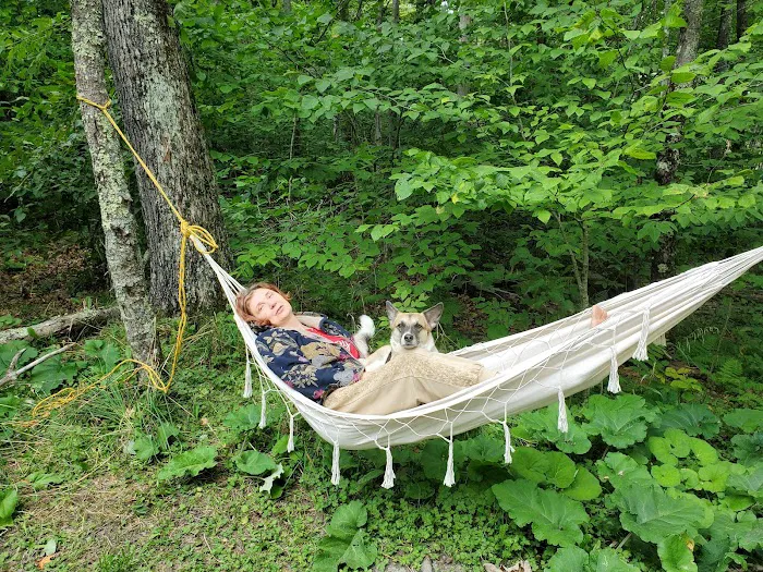 Spruce Knob Lake Campground Picture 3