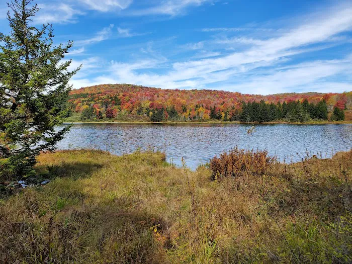 Spruce Knob Lake Campground Picture 8
