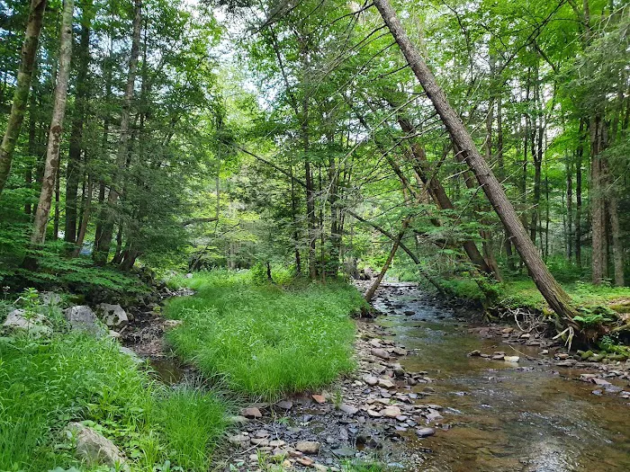 Island Campground Picture 5