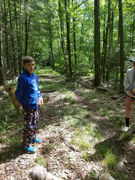 Island Campground Picture 3