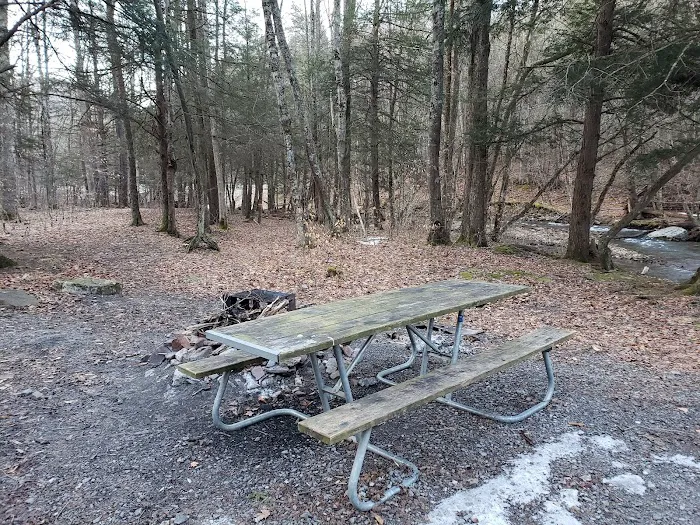 Island Campground Picture 9