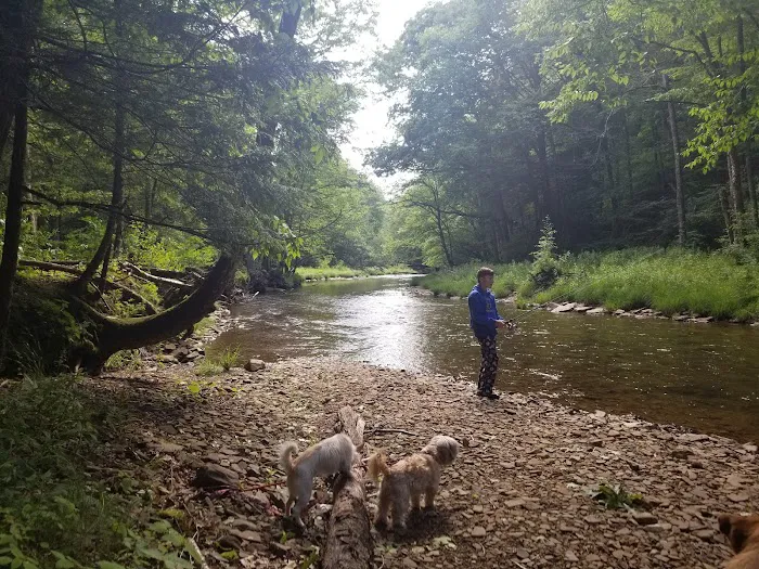 Island Campground Picture 4