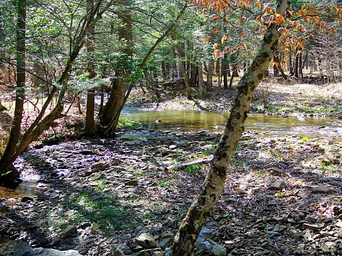 Island Campground Picture 6