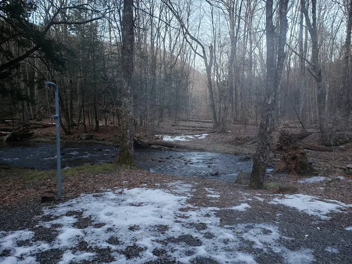 Island Campground Picture 7