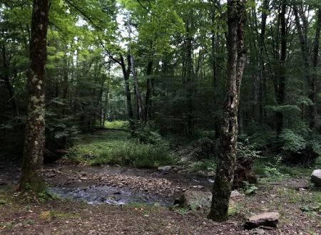 Island Campground