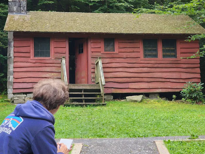 Middle Mountain Cabins Picture 1
