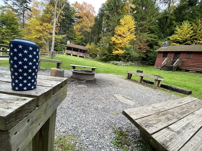 Middle Mountain Cabins Picture 2