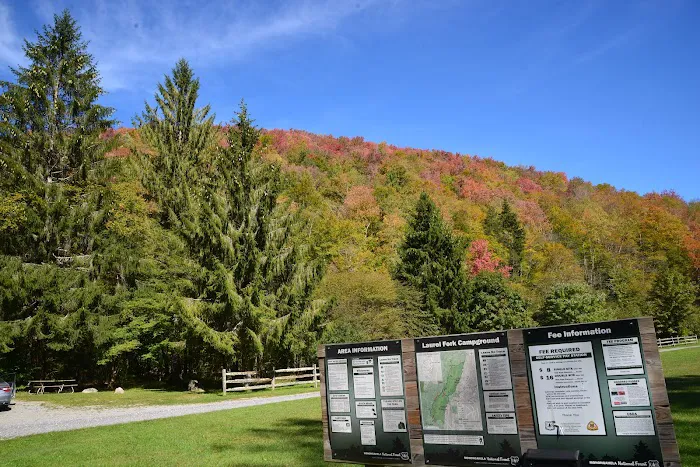 Laurel Fork Campground Picture 3