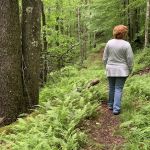 Laurel Fork Campground