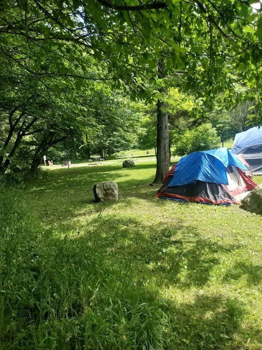 Laurel Fork Campground Picture 8
