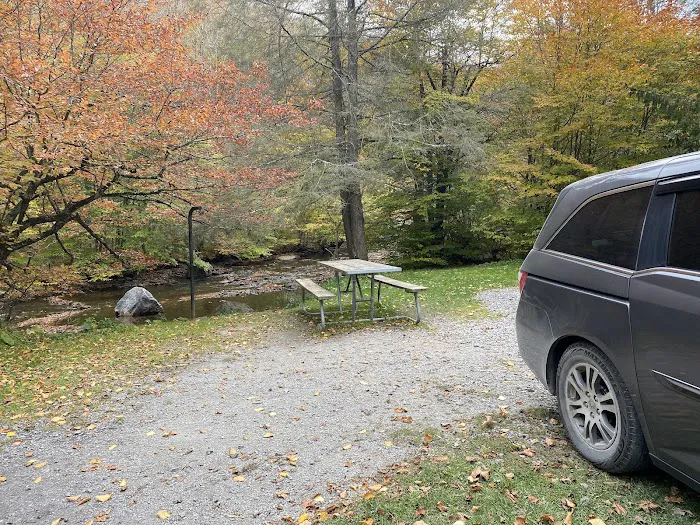 Laurel Fork Campground Picture 7
