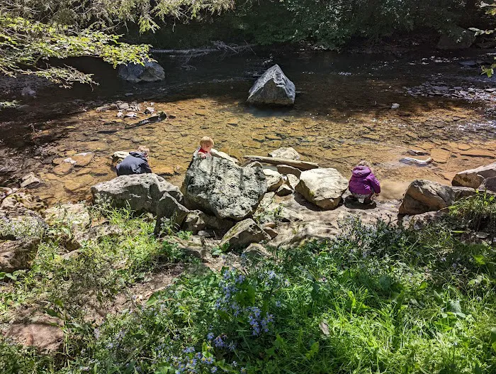 Laurel Fork Campground Picture 9
