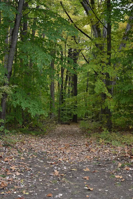 Pine Ridge RV Campground Picture 9