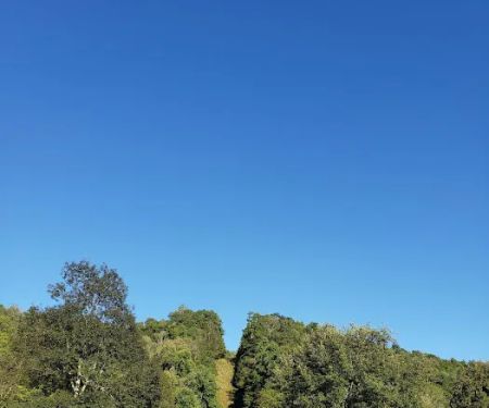 Bemis Campground