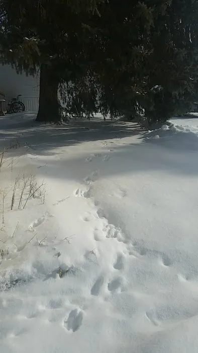 Circle Drive Mobile Home Park Picture 1