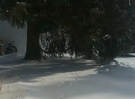 Circle Drive Mobile Home Park