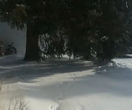 Circle Drive Mobile Home Park