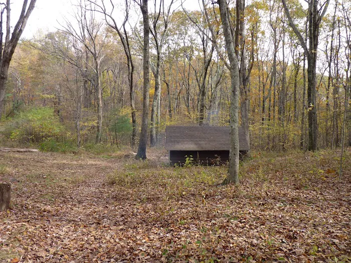 Punchbowl Shelter Picture 2