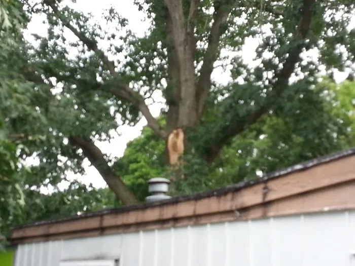 Holiday Terrace Mobile Home Park Picture 5