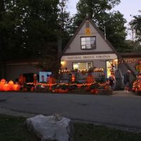 Natural Bridge / Lexington KOA Holiday ico