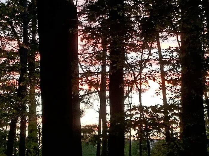 Washington/Jefferson National Forest - campsite Picture 5