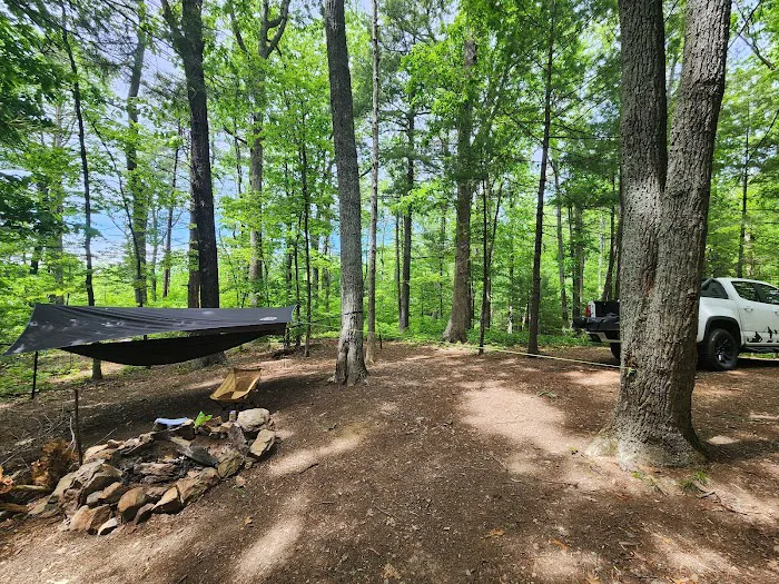 Washington/Jefferson National Forest - campsite Picture 9