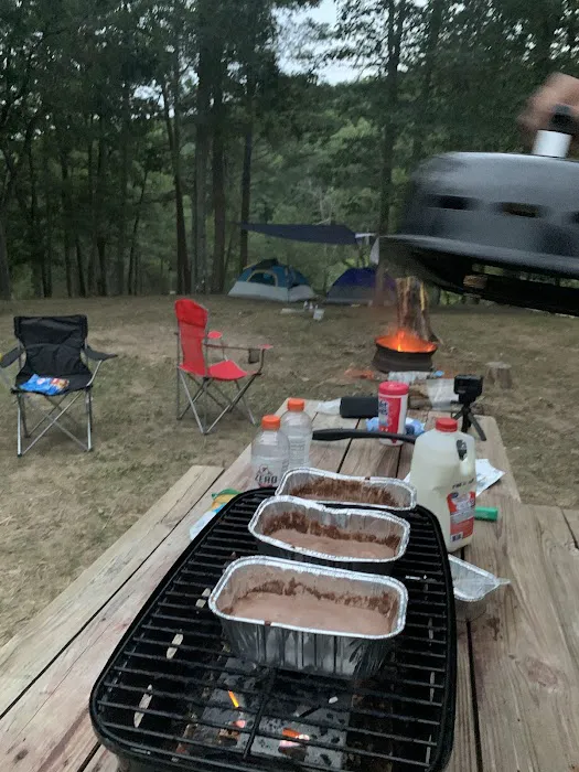 Historic Cold Sulphur Springs Campground Picture 5