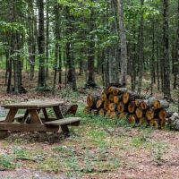 Historic Cold Sulphur Springs Campground ico