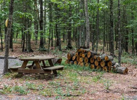 Historic Cold Sulphur Springs Campground