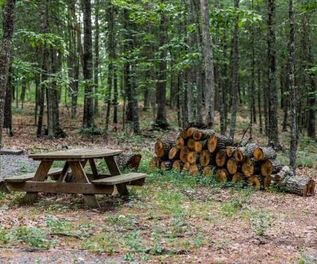Historic Cold Sulphur Springs Campground