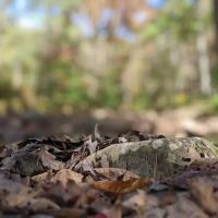 Otter Creek Campground ico