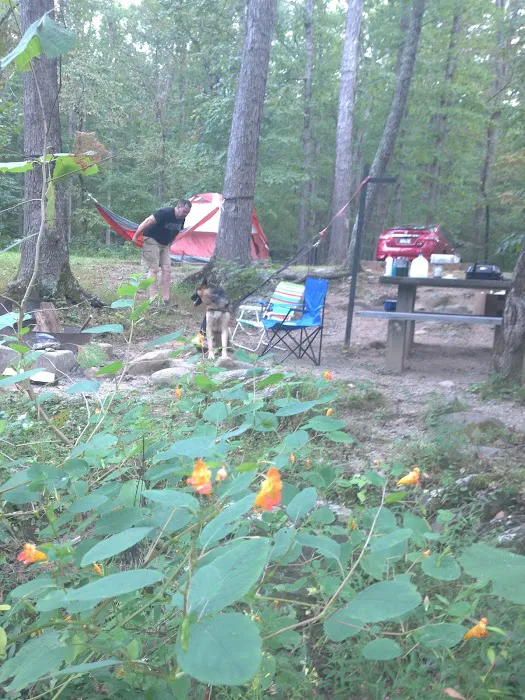Otter Creek Campground Picture 4
