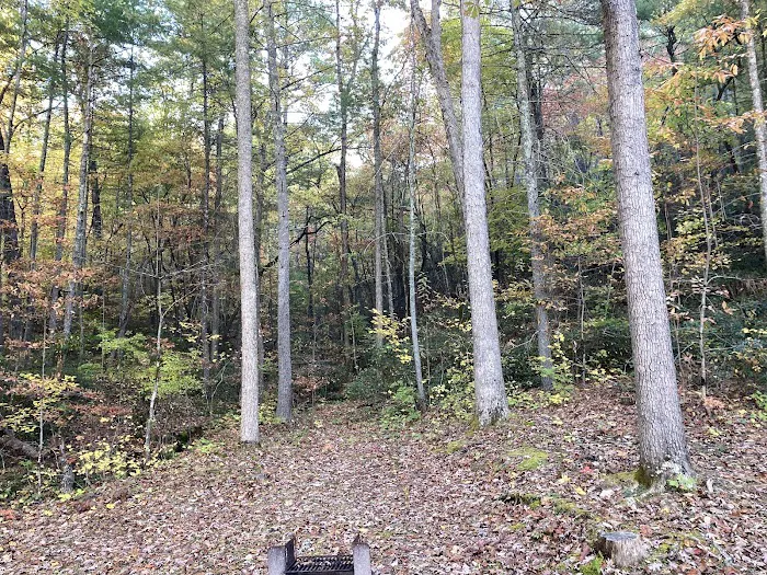 Otter Creek Campground Picture 6