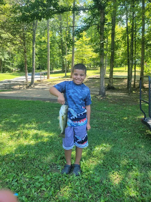 Lynchburg KOA Picture 5