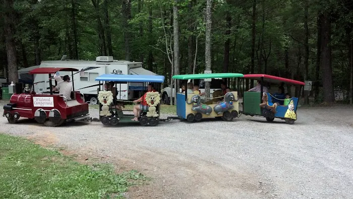 Lynchburg / Blue Ridge Parkway KOA Holiday Picture 5