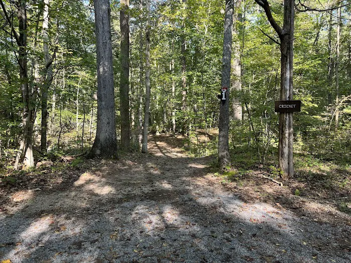 Thunder BRidge Campground Picture 3