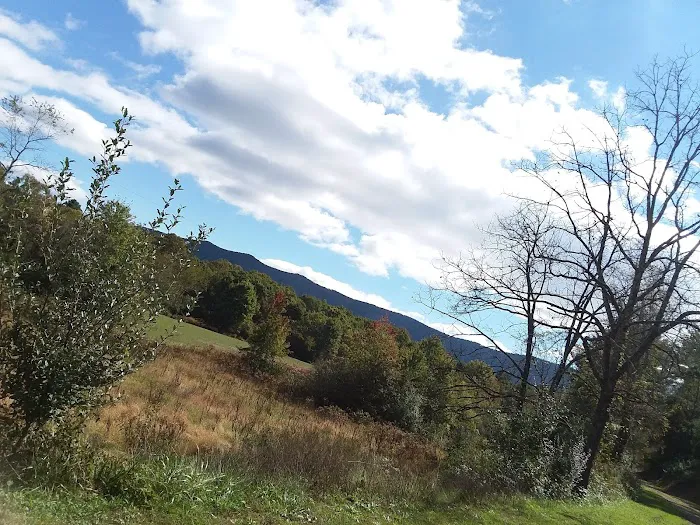 Camp ACCOVAC Picture 7