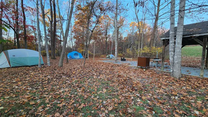 Blue Hollow Campground Picture 1