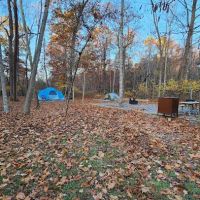 Blue Hollow Campground ico