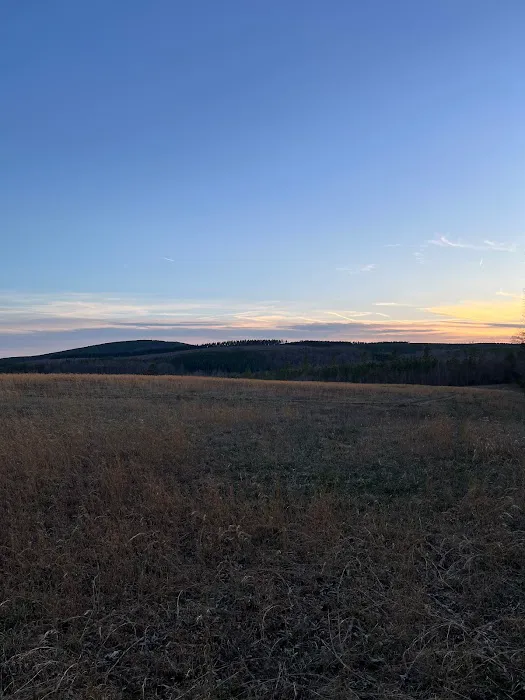 Camp McFender Picture 2