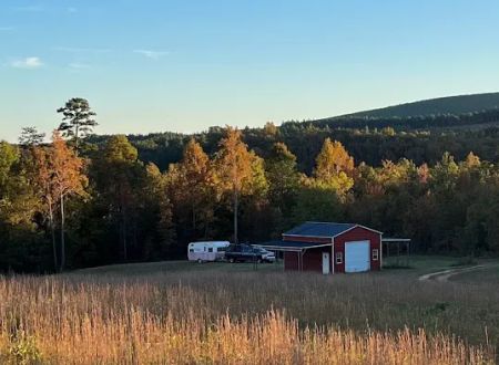 Camp McFender