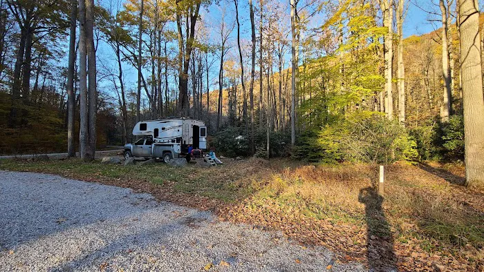 Lower Glady Dispersed Campground Picture 5